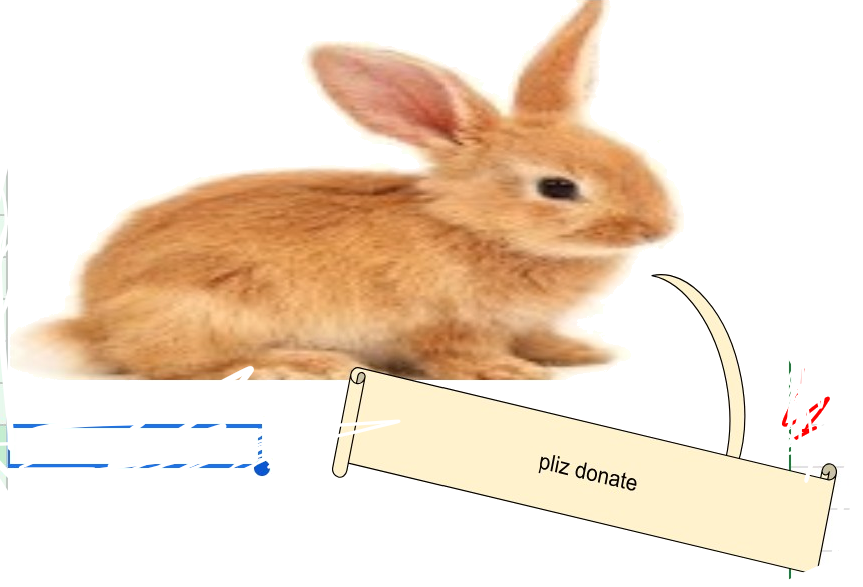 Lapin Donate